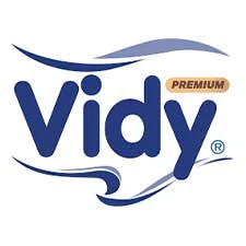 Vidy